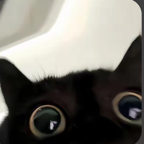 睡觉.