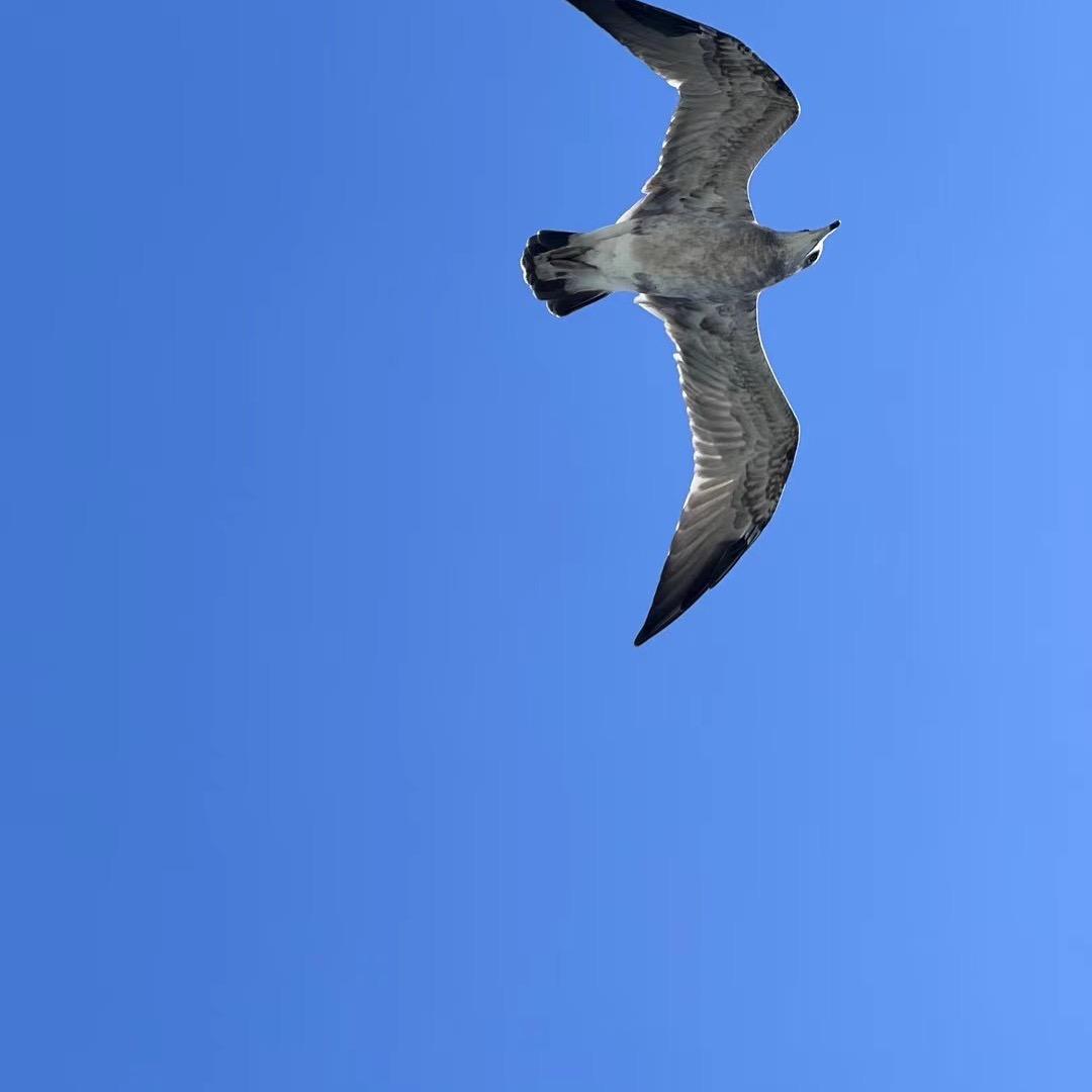 天 蓝