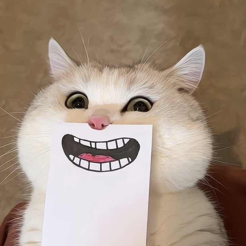 嘴硬心软