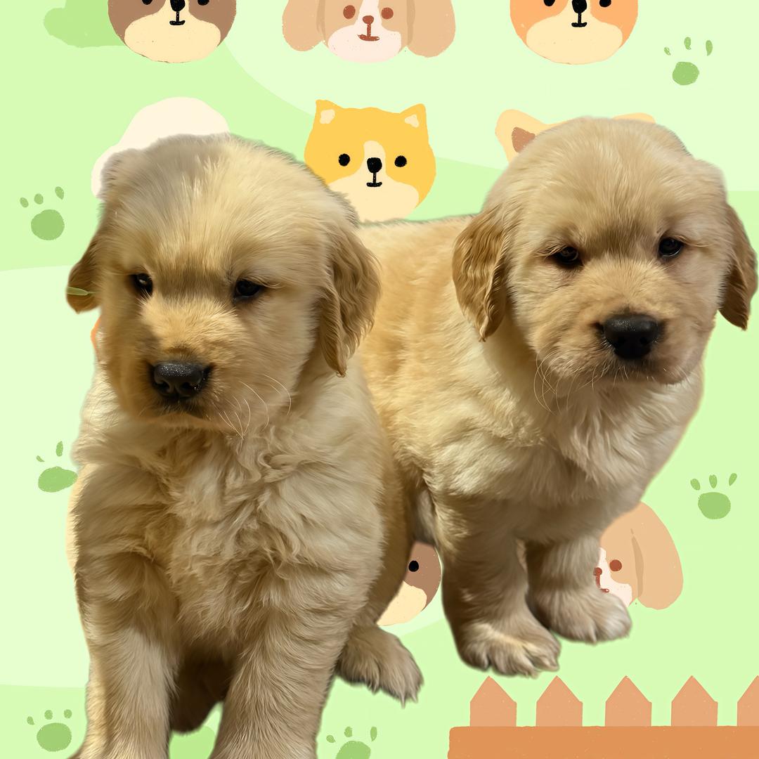 理想与未来❤️～