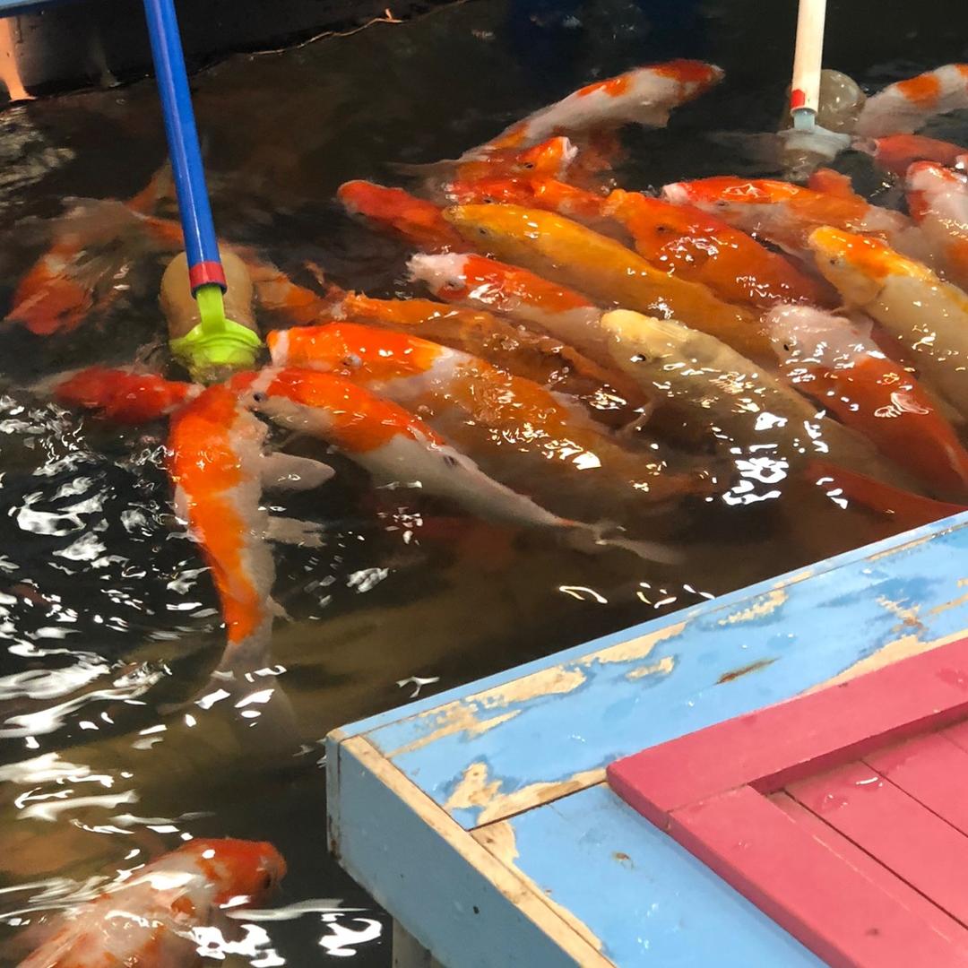 樂觀🧊