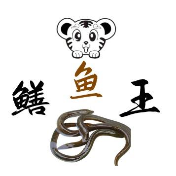 户外抓鳝抓虾
