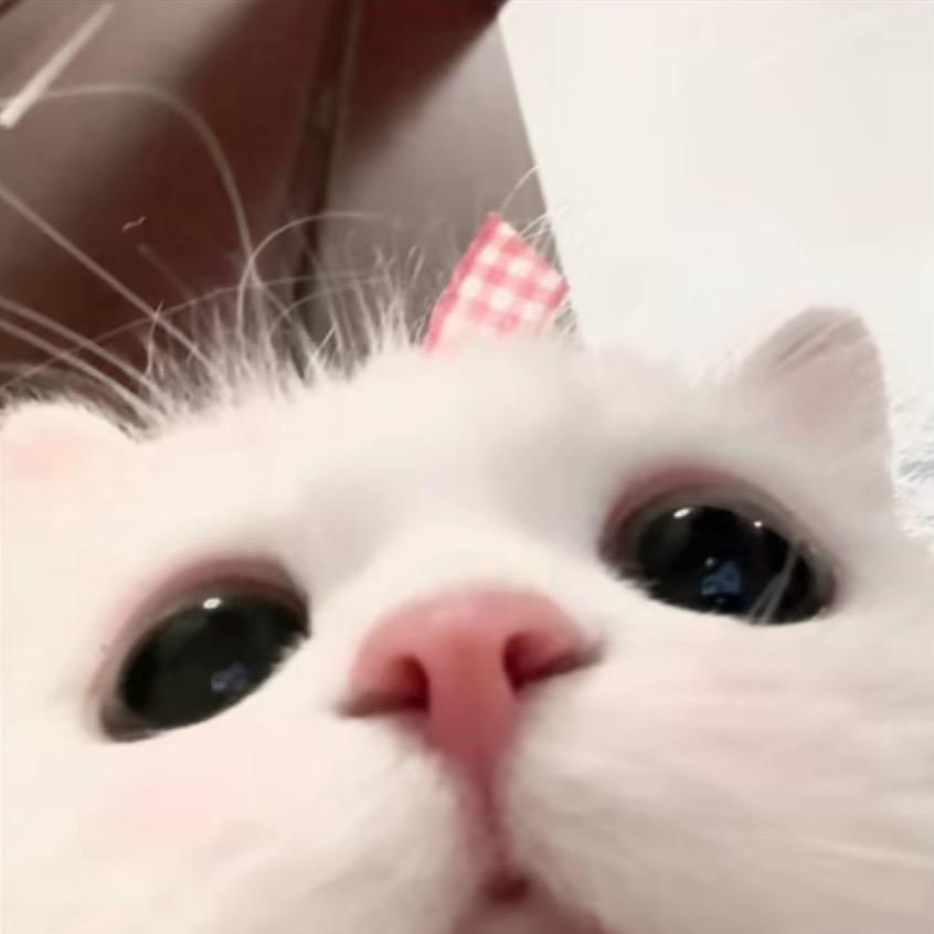 些许风霜些许愁