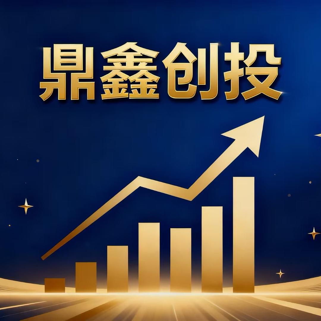鼎鑫创投
