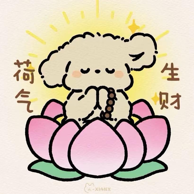 🪷金元宝🪷