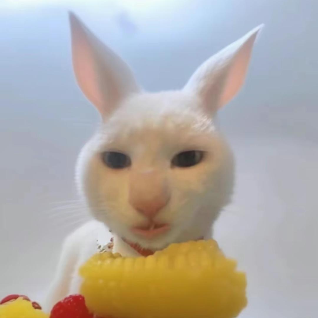 囧囧鸭比猫（谦谦公子连麦榜一版