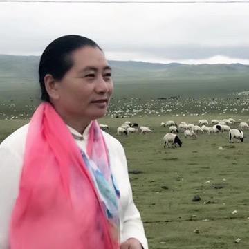 彩云之南