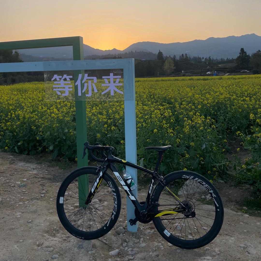 陈苏苏