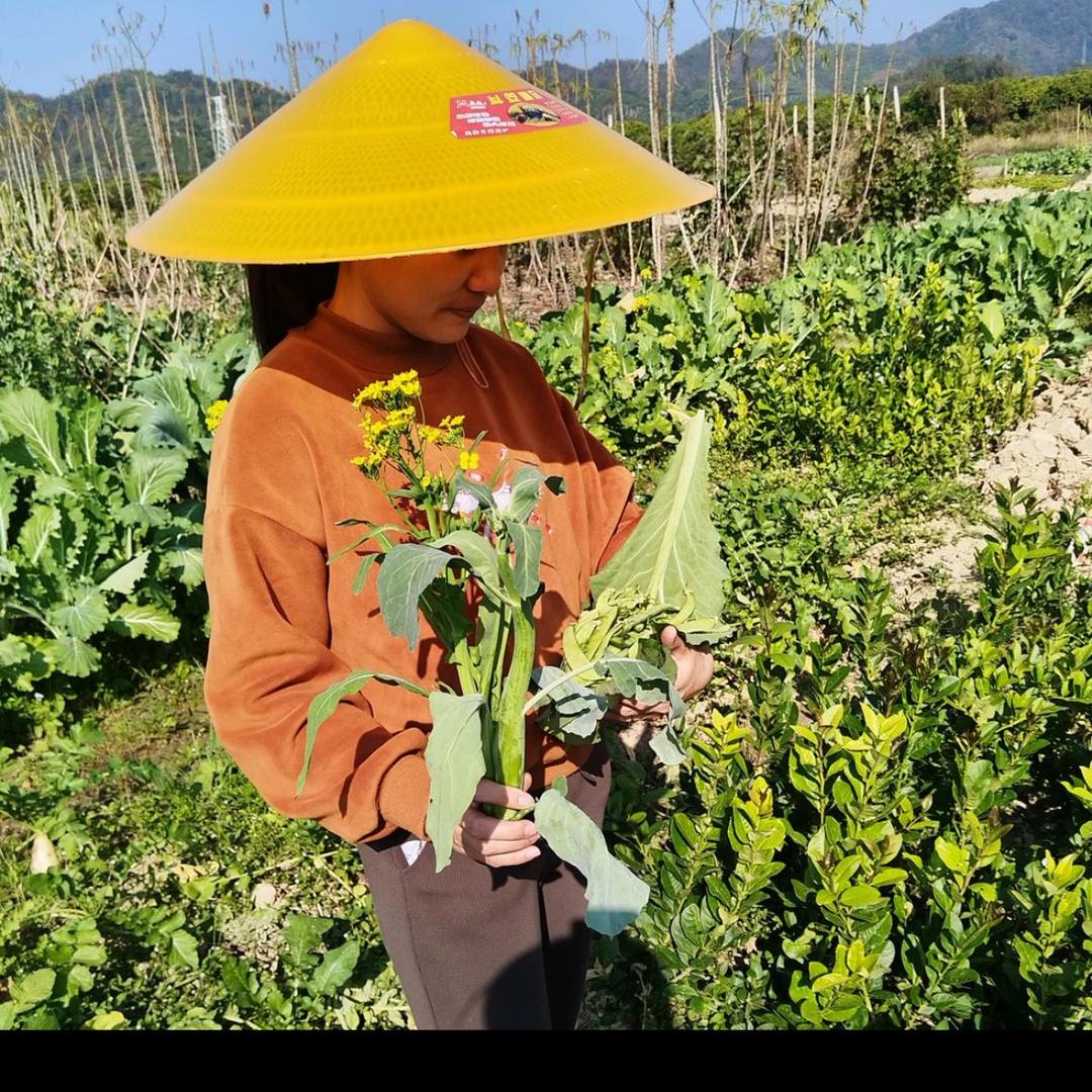 红猫（从化生鲜）