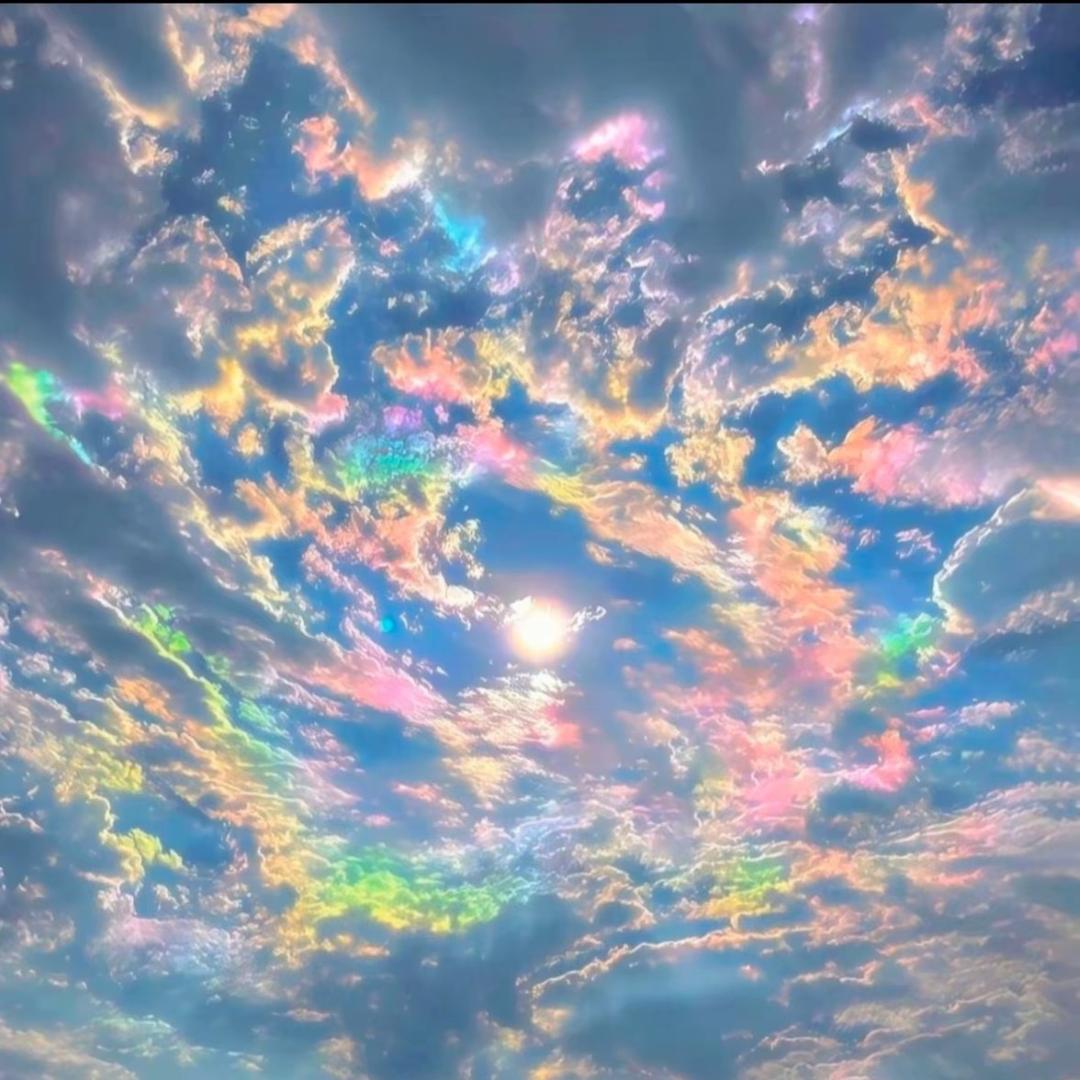 中药材种植-小李