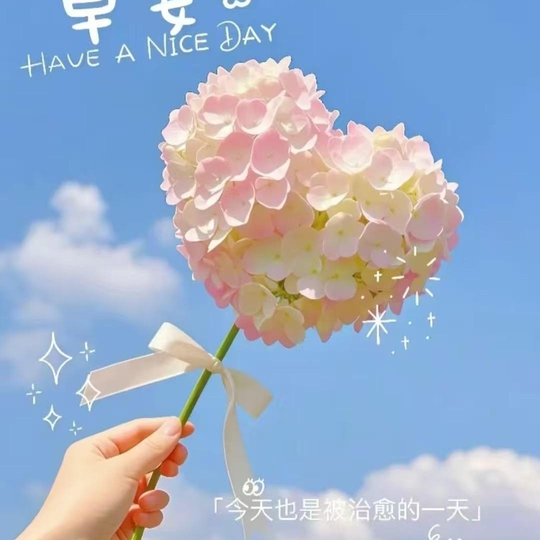 一朵小红花