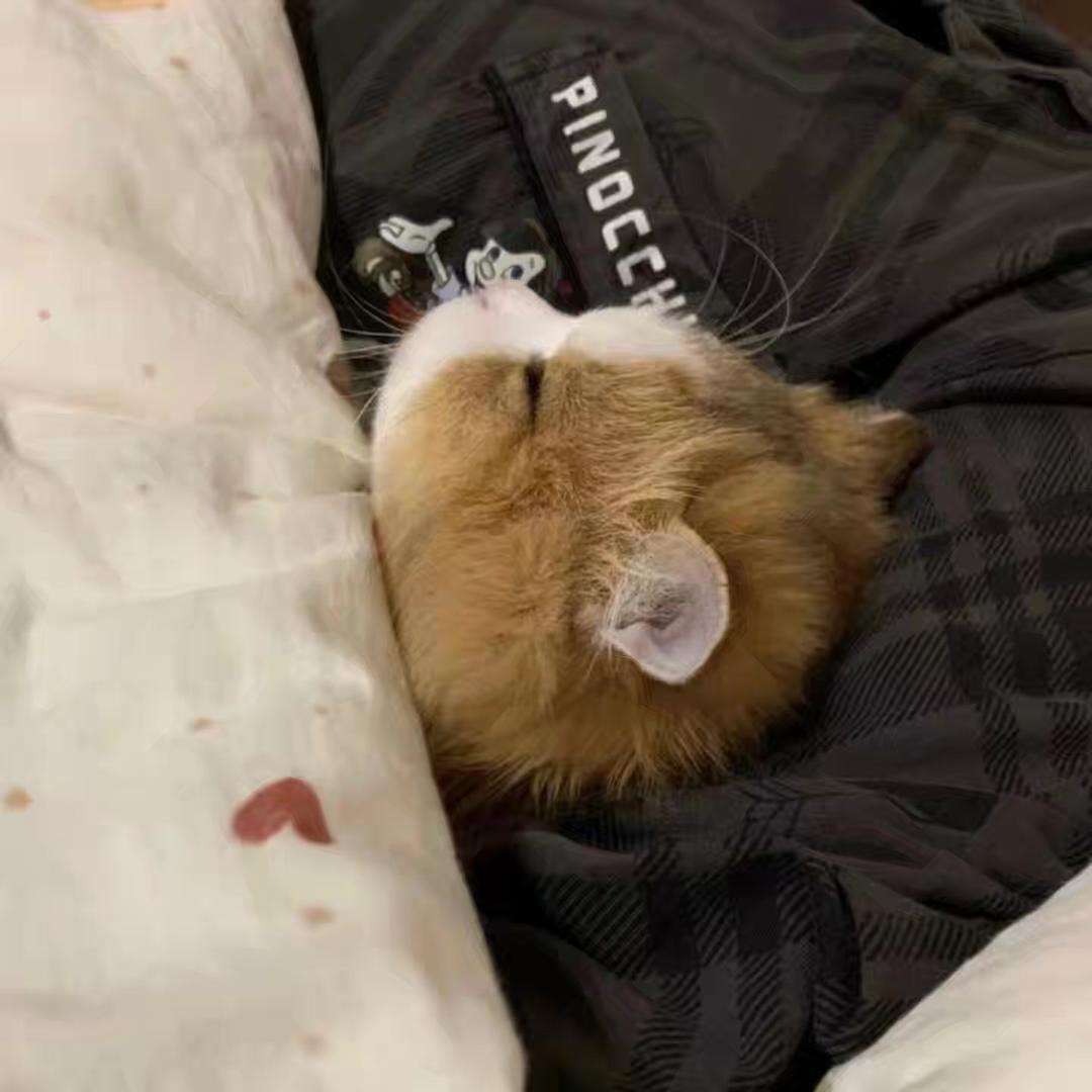 Sleeep.