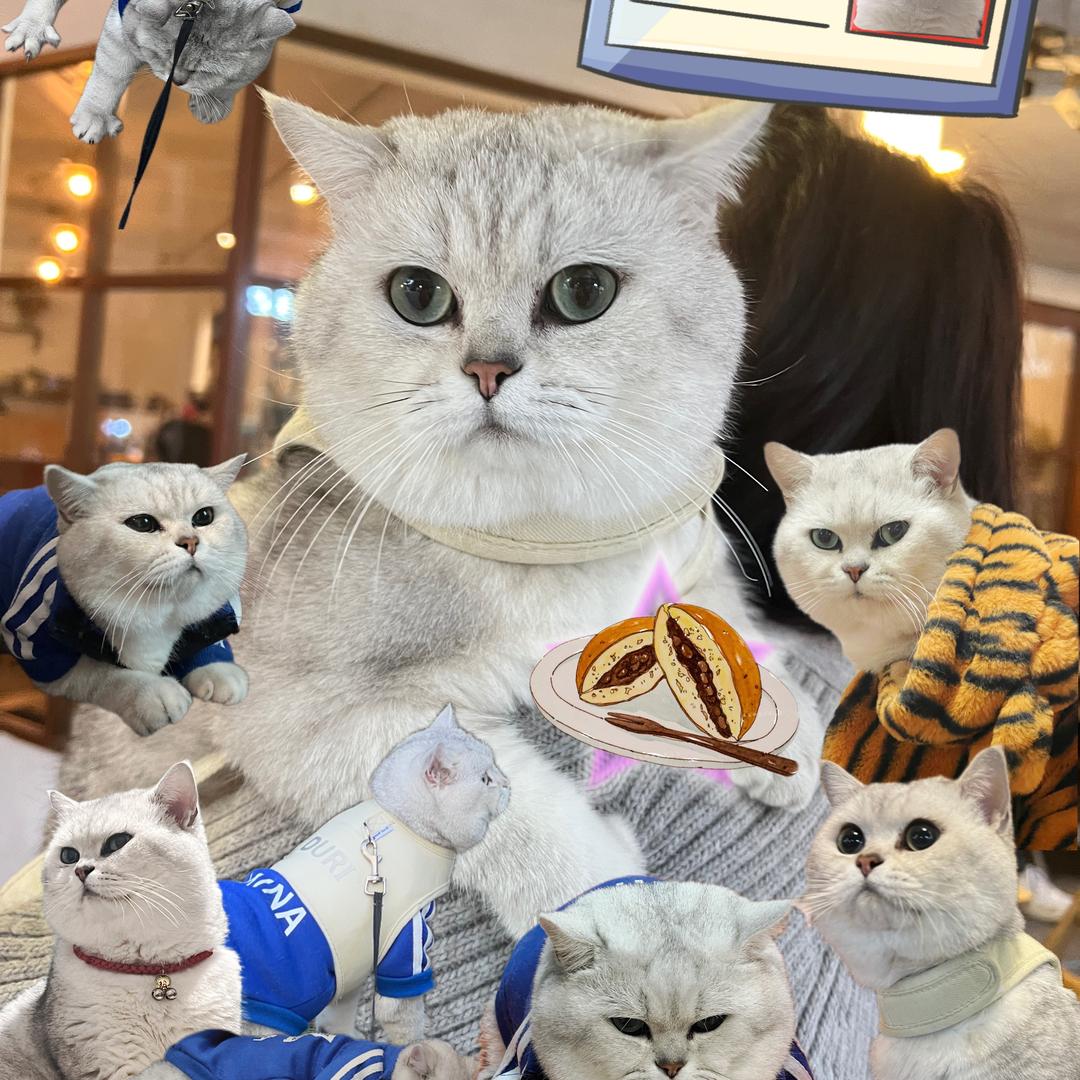 吉喵美食屋🐱百花二巷