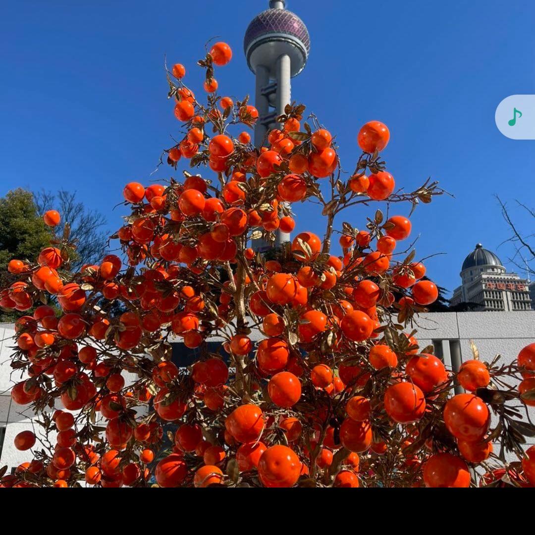 冀湘如意