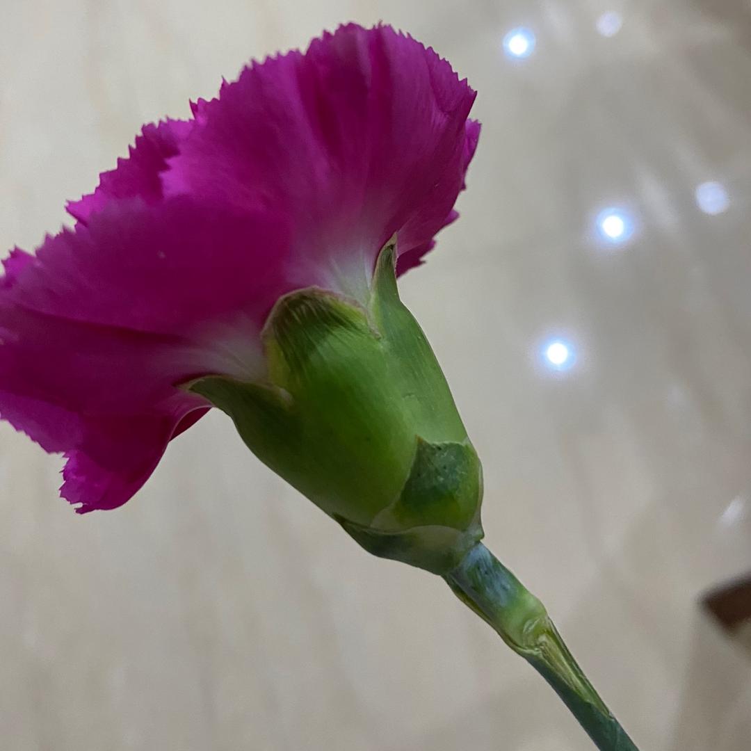 玲玲小手工