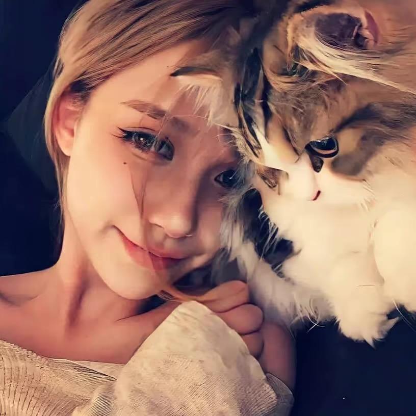 🍃