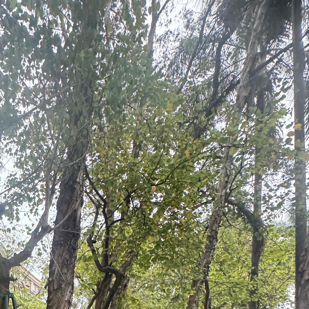 不要再下雨了