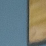 飘在海上的叶子🍃