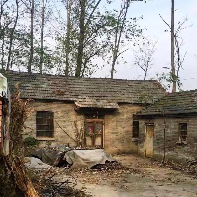 印象1617172736直播号