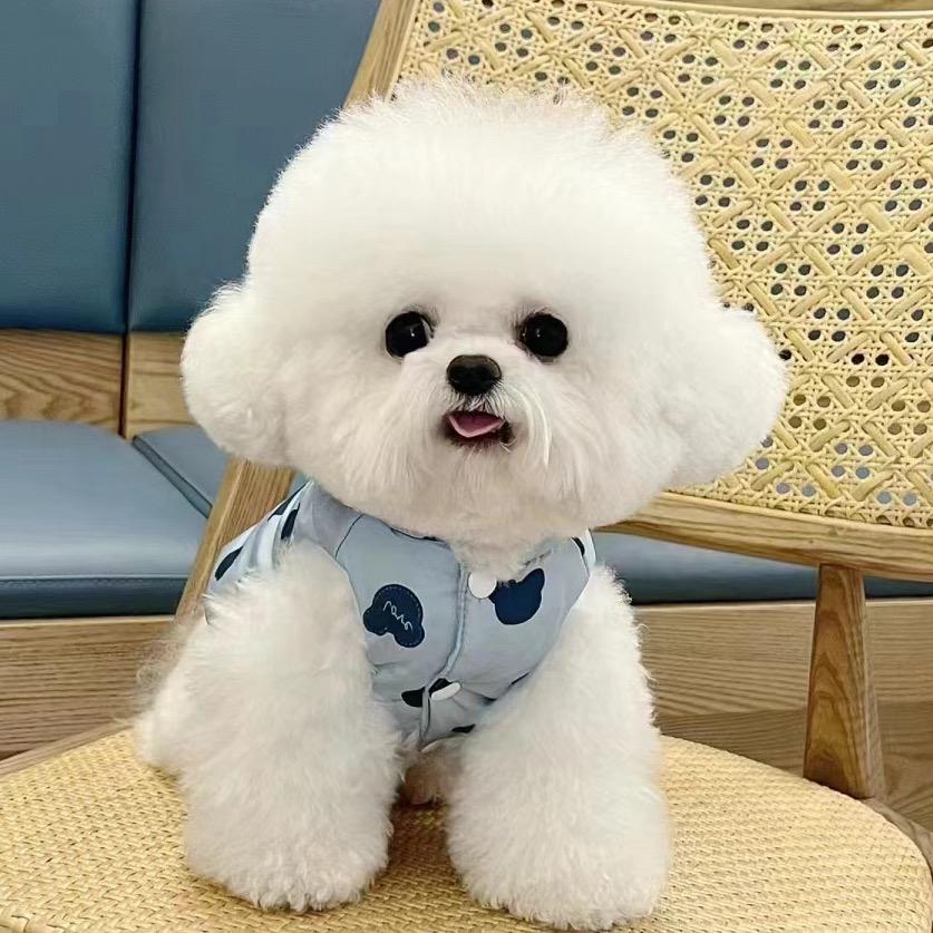 爪爪不咋爪