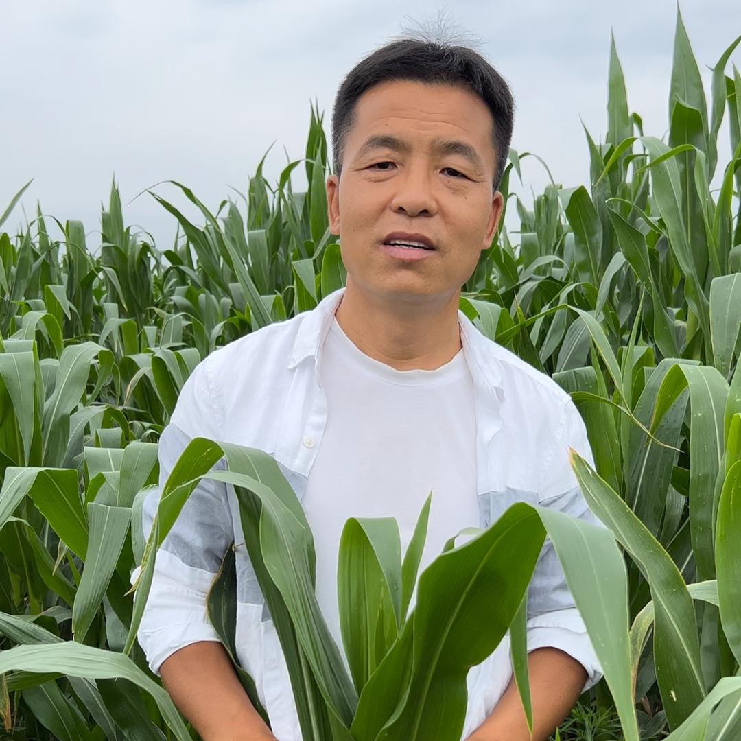 良子4号10点奶粉专场