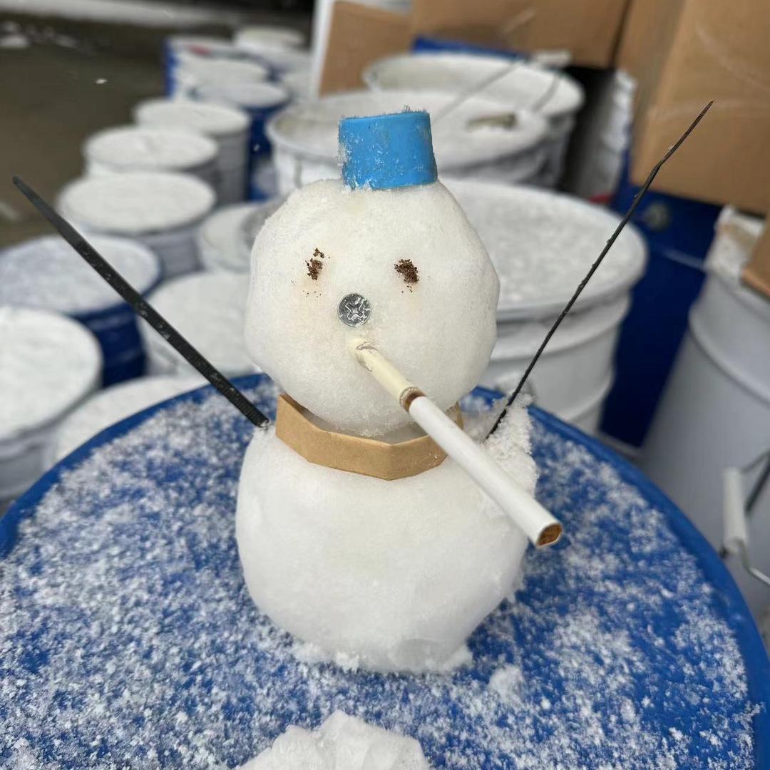 蓝帽子雪人📷