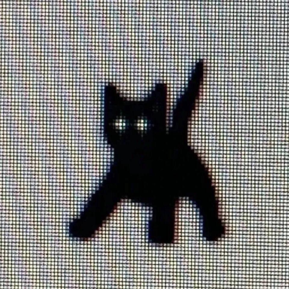 鸿鹄.