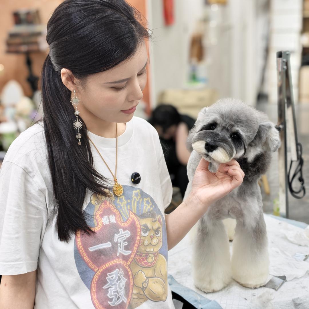紫悦平安妮养宠分享好物