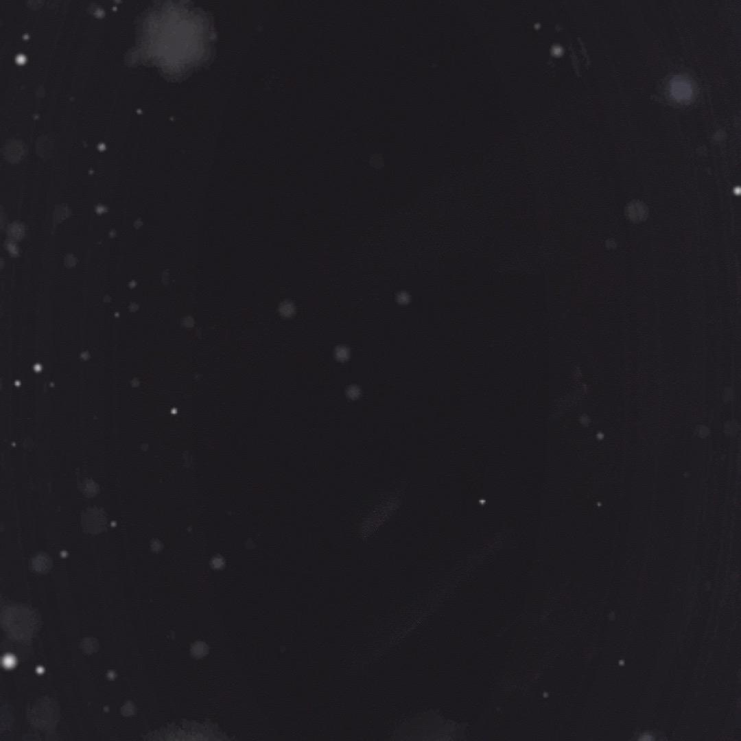 相信自已