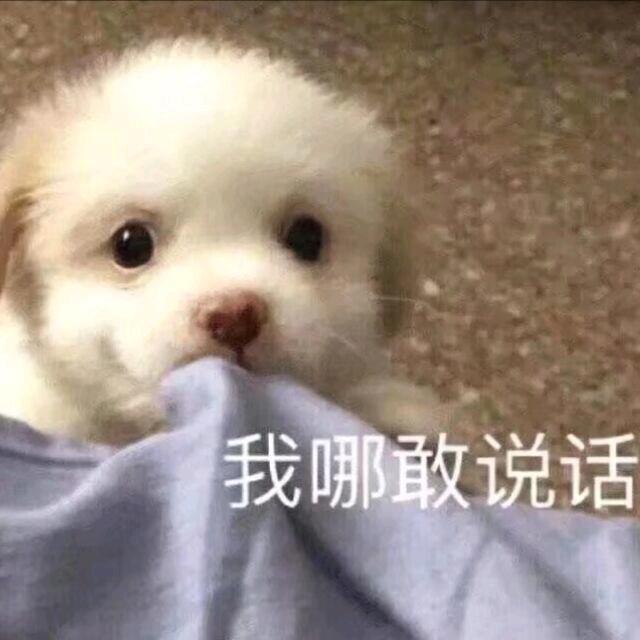 珍珠真的很好吃