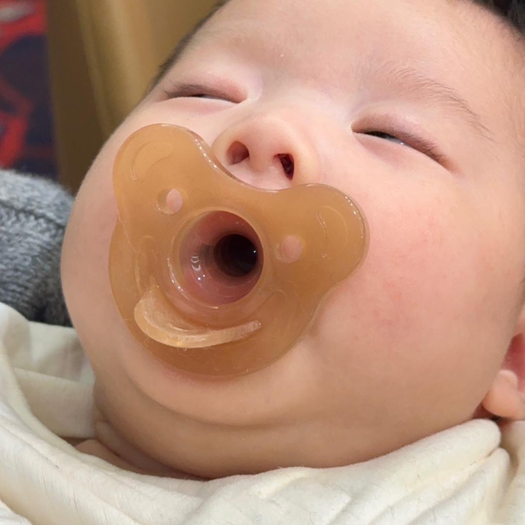 小葵