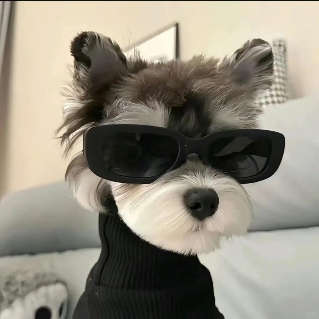 在逃大母猴