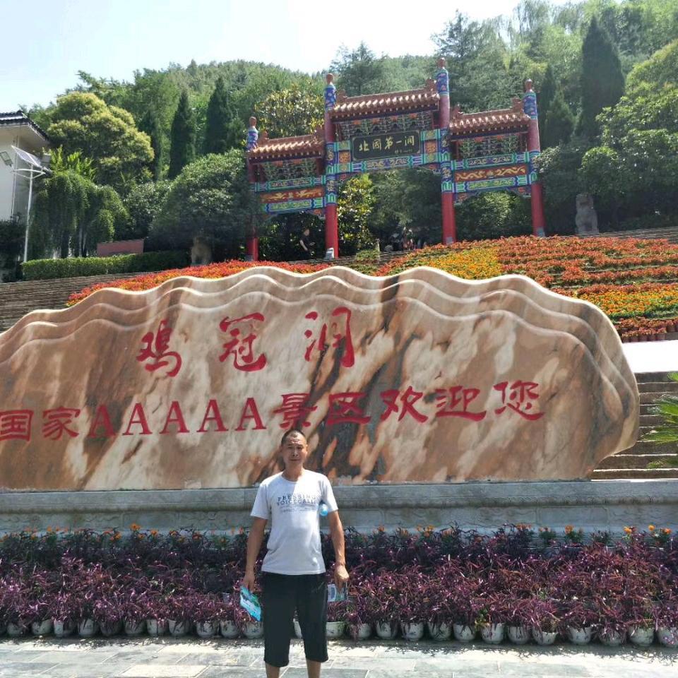 洛阳张哥