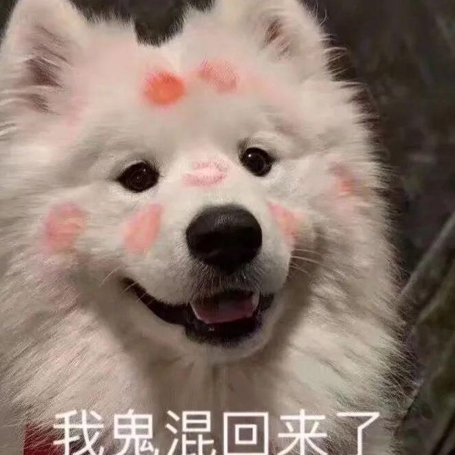 柠檬这个乘头像