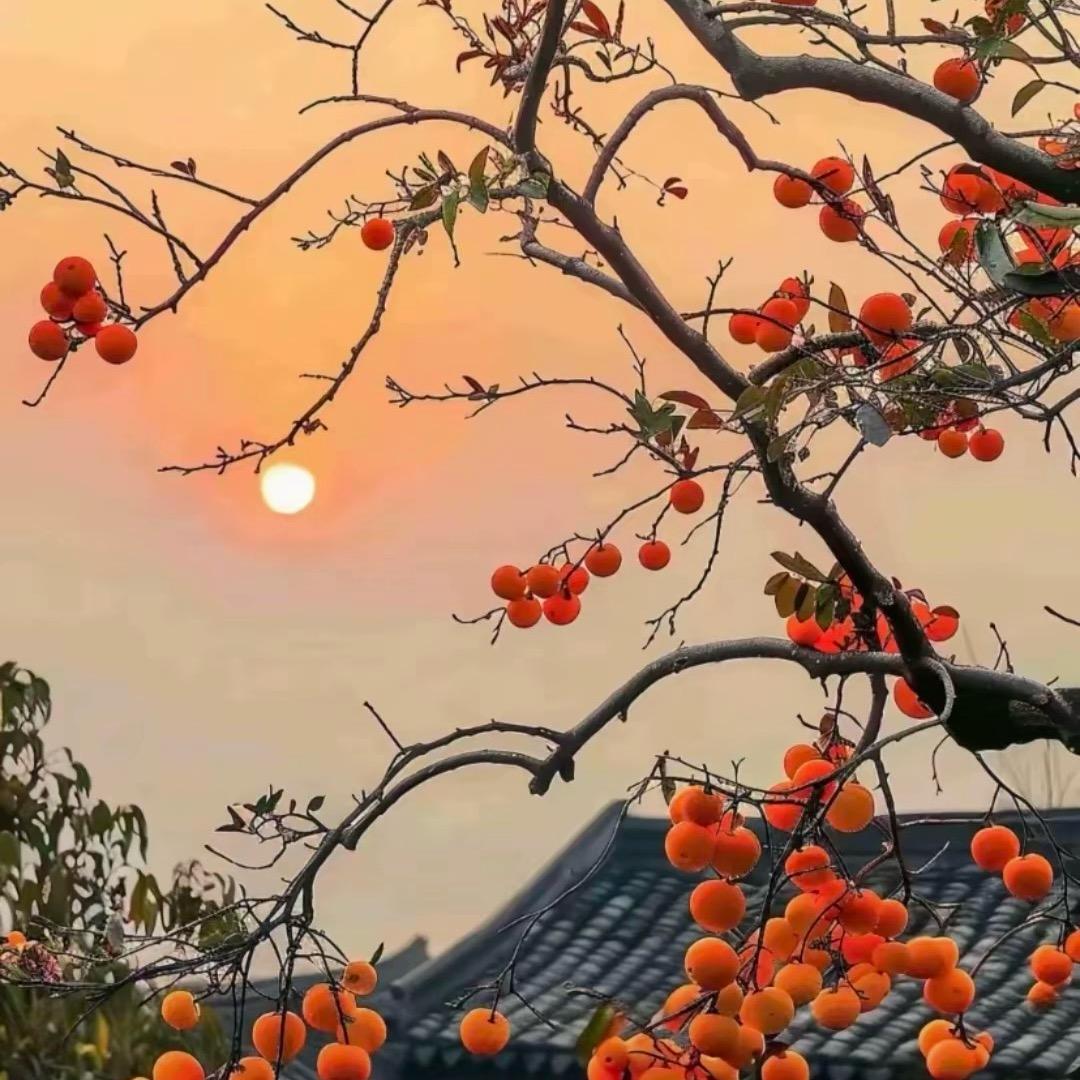 打退堂鼓的艺术家