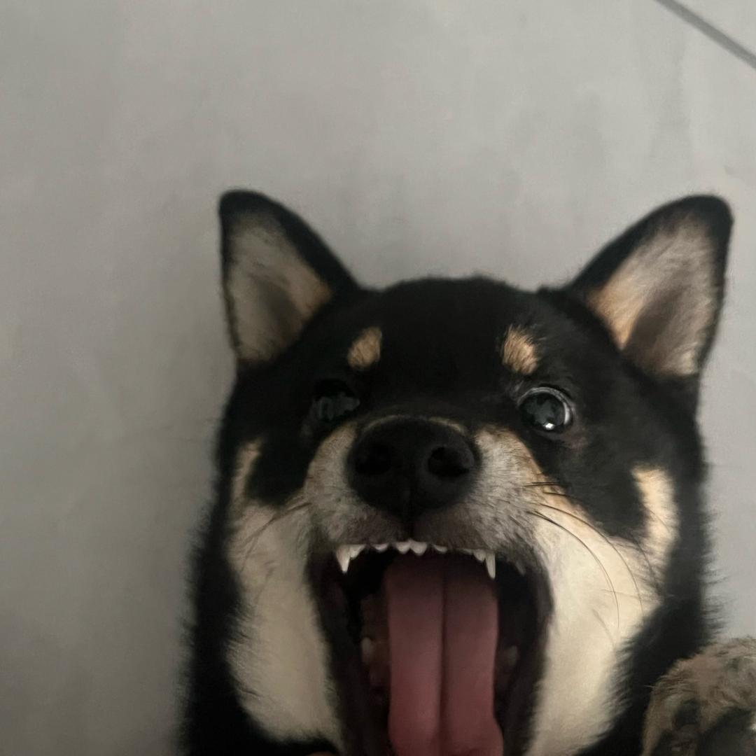 . .