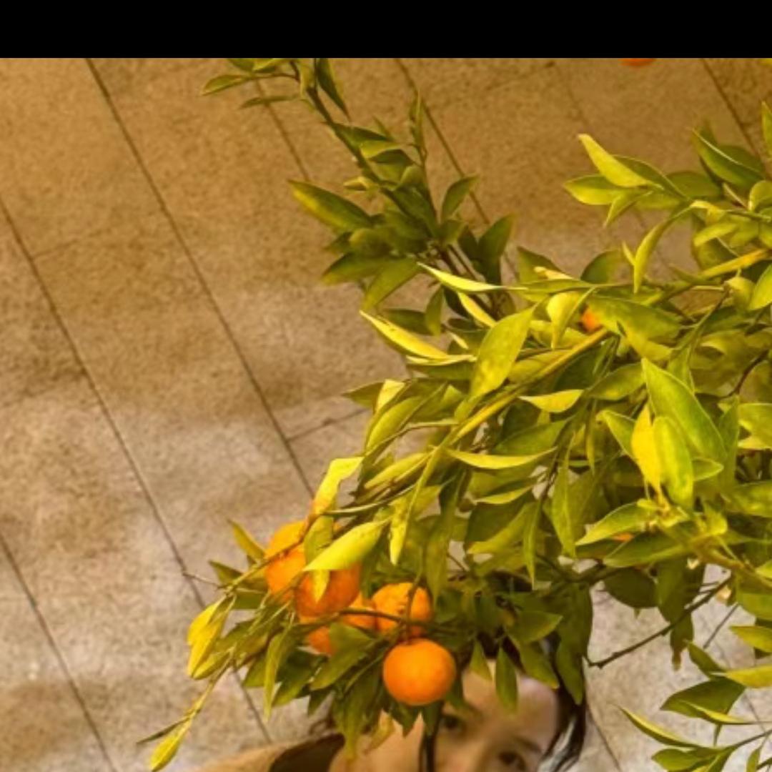 嘎嘎嘎嘎嘎嘎嘎