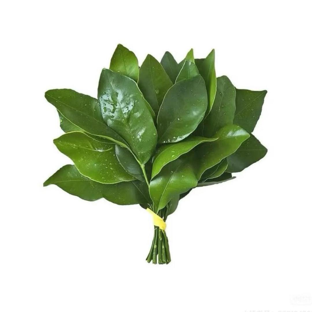 朝暮