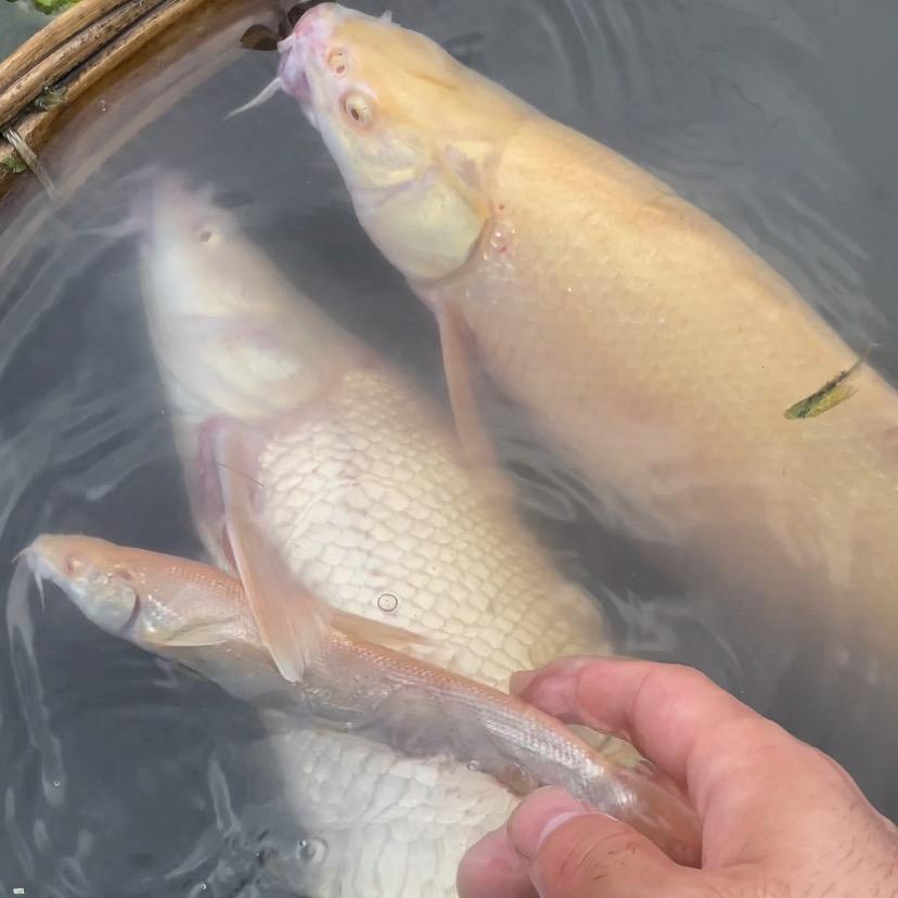 好多鱼水产养殖