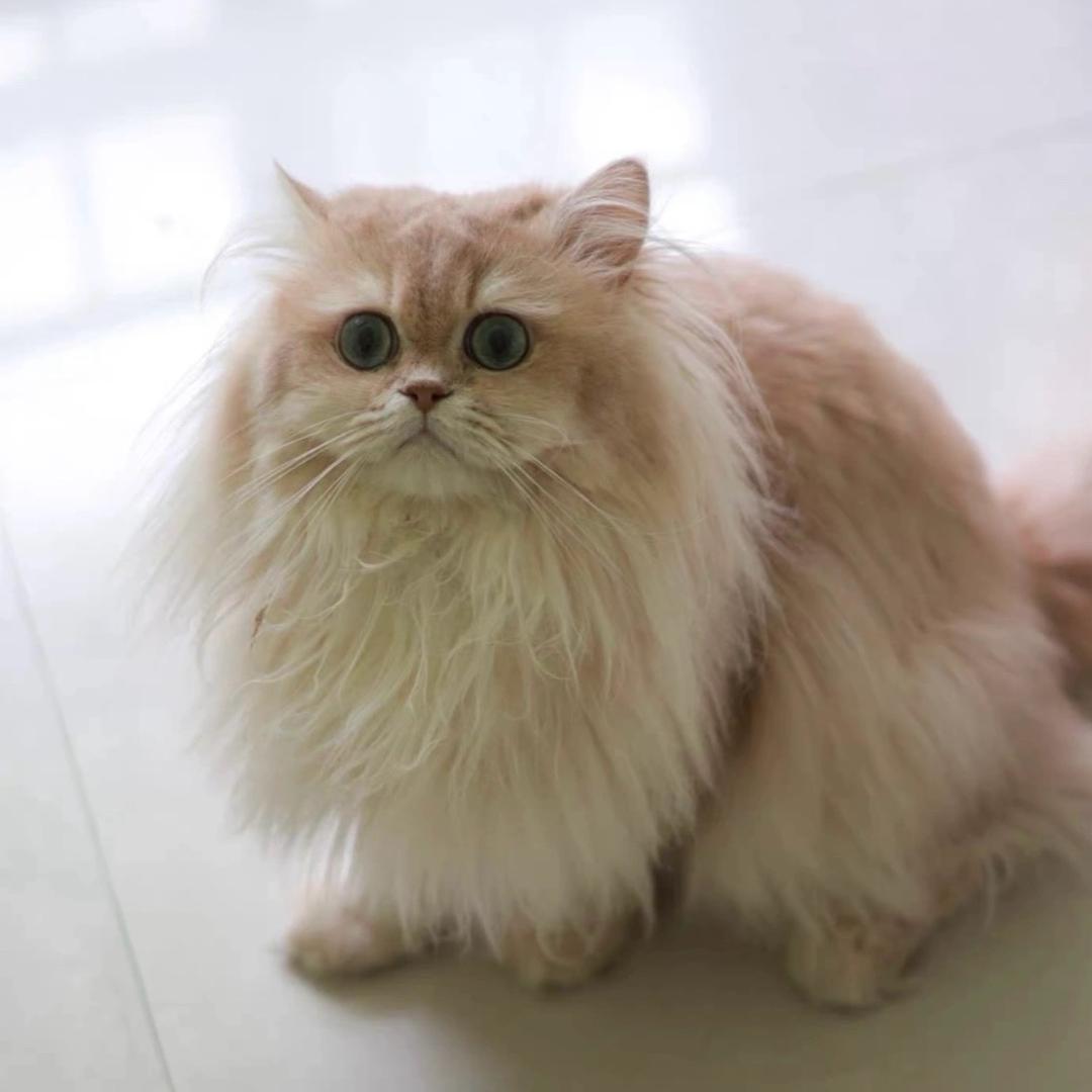 飞儿的小小世界