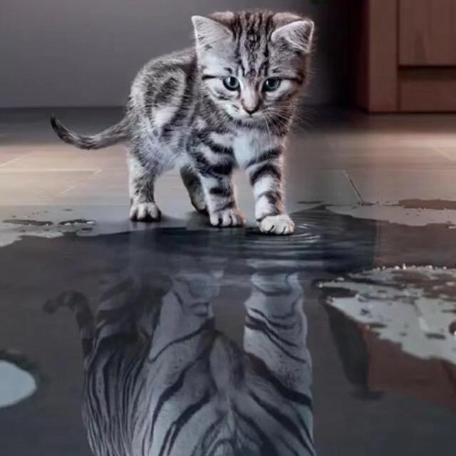 懒懒的生活