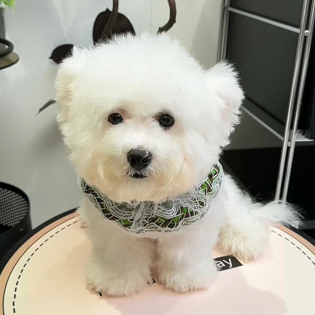 geligeli的朋友圈