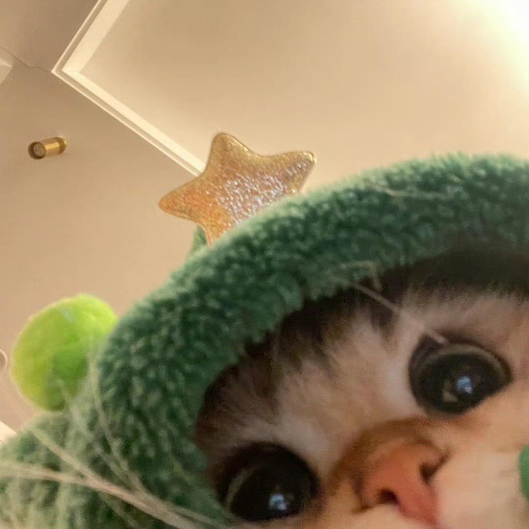 关于小熊🐼