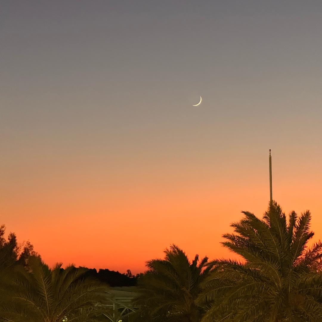 羊蜜哥哥(沉淀版)