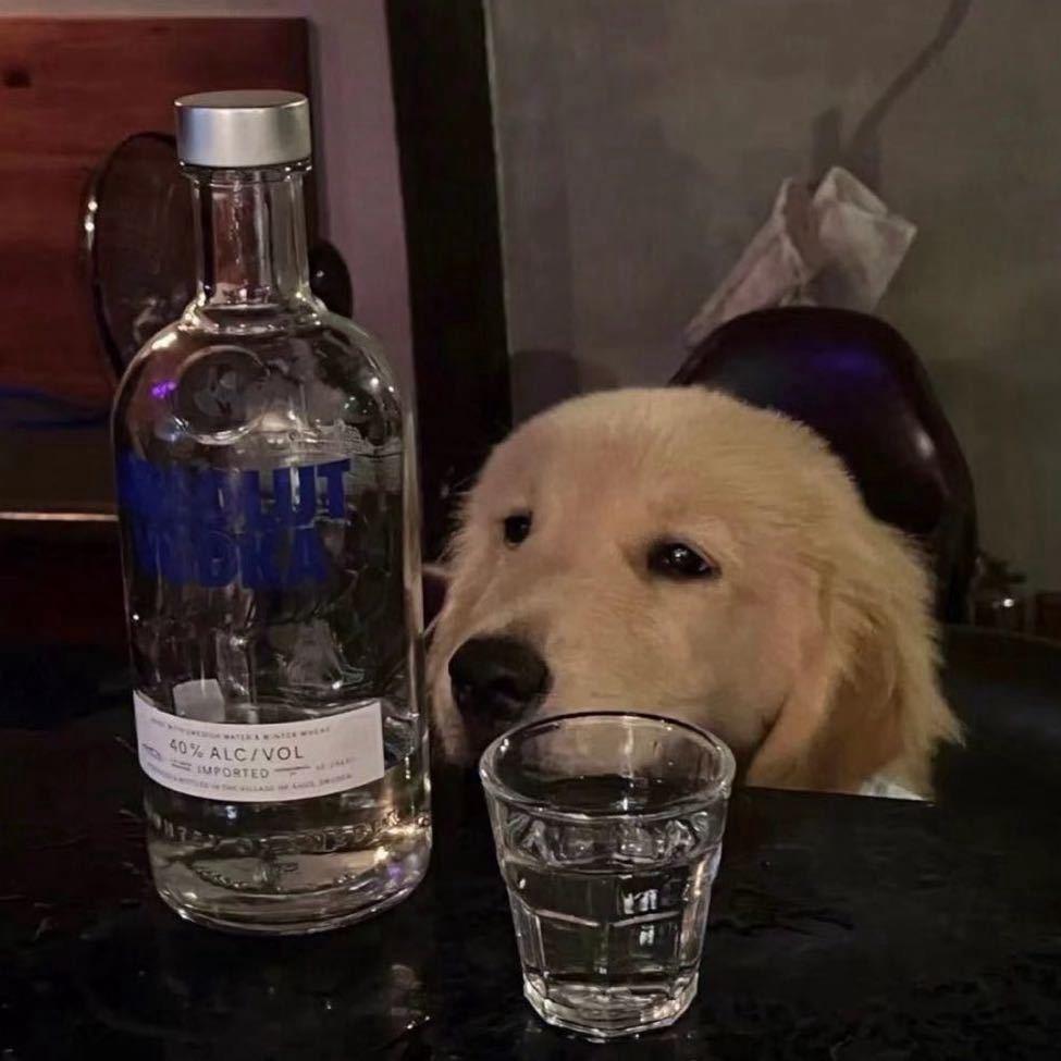 虎子zz