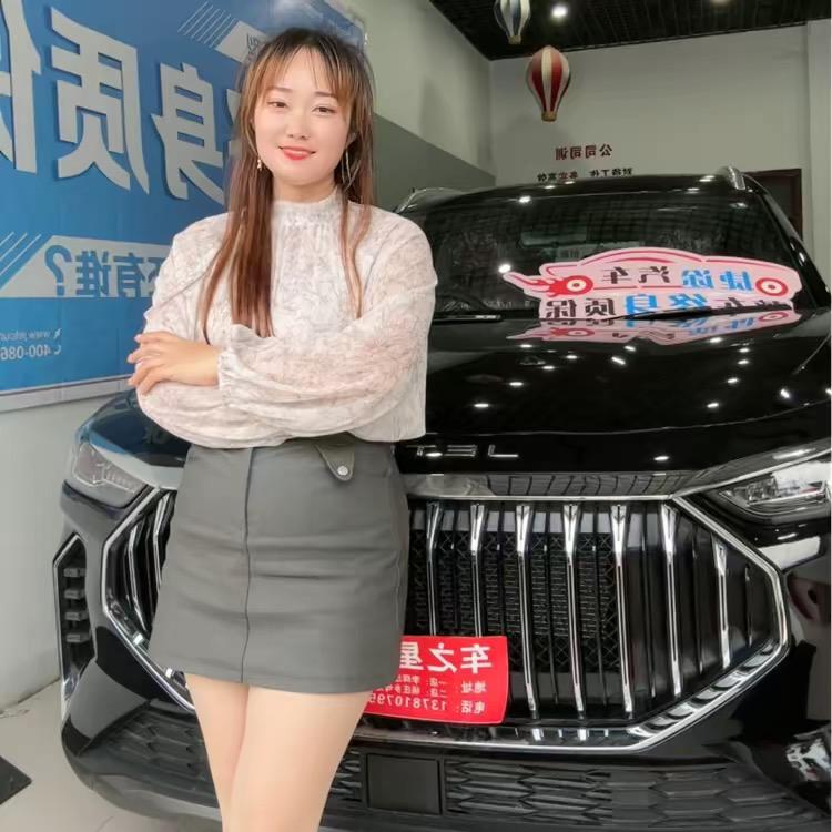 舞钢车之星汽车销售服务有限公司