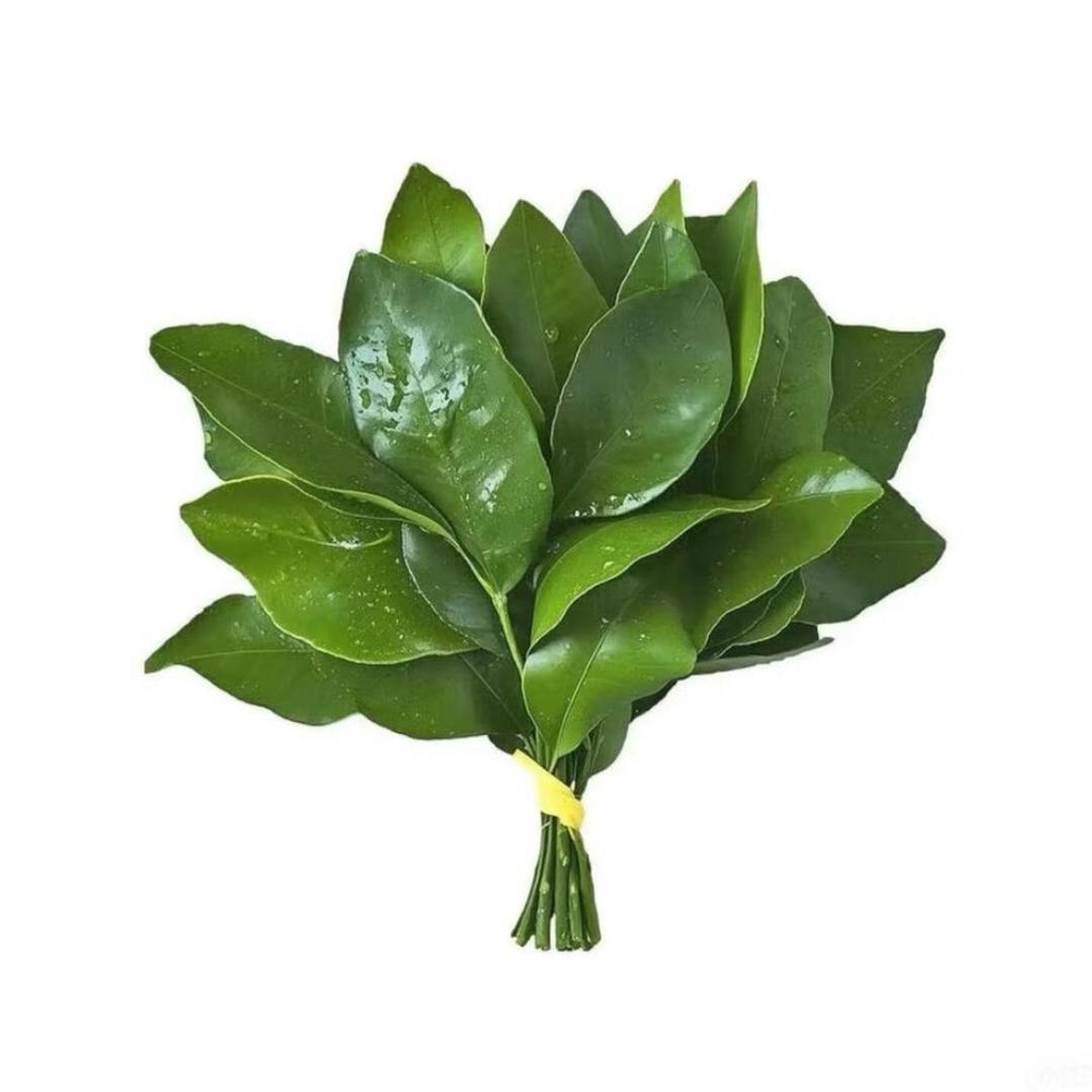 玎玎不饿了