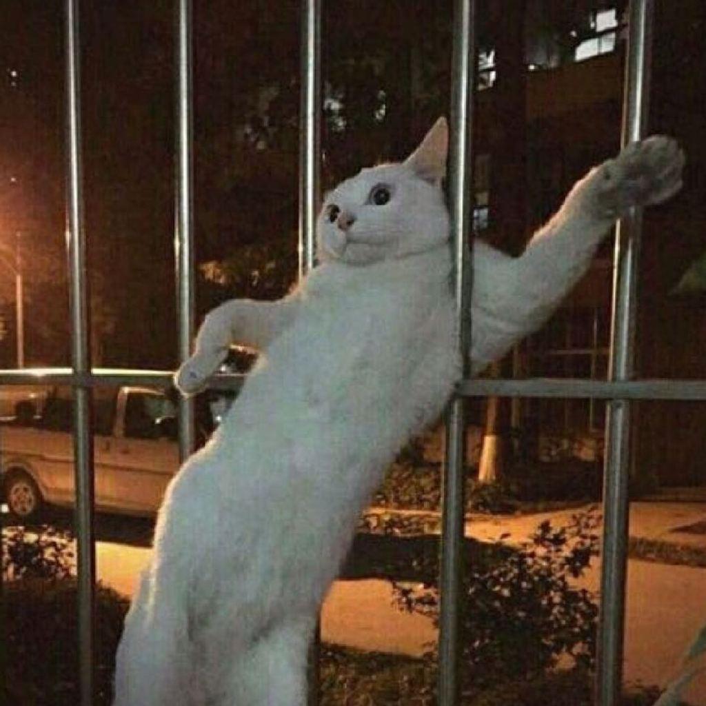 从此如何看懂程度很低