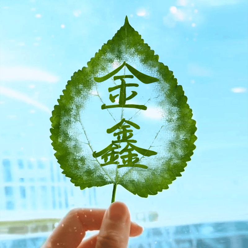 金鑫手工饰品
