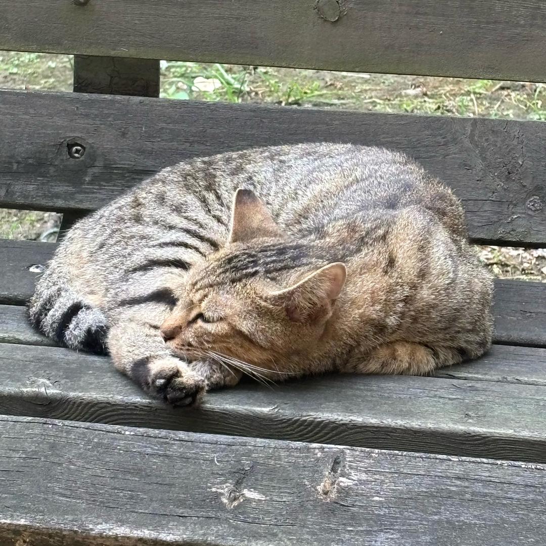 19/7